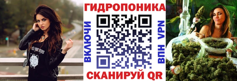 Магазины продажи наркотиков Бердск БУТИРАТ Псилоцибиновые грибы АМФ Канабис МЕФ COCAIN