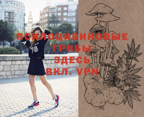 МДПВ Кукмор